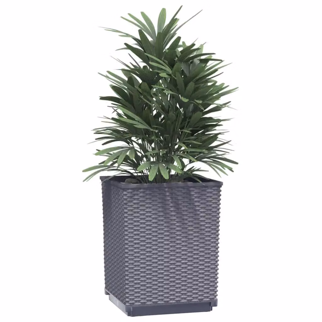 Berkfield Home Set of 2 Grey Plastic Ornamental Planter Tubs, W/D/H: 30 x 30 x 37 cm – 3