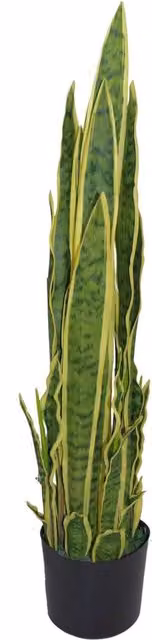 Dyzi Artificial Green Sansevieria Potted Indoor Tabletop Plant, Height: 55 cm