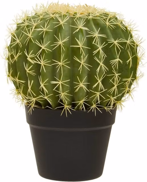 Orsina Fiori Green Artificial Round Cactus in Black Plastic Pot – 1