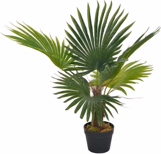 Berkfield Home Artificial Potted Palm Plant in Green, Height: 70 cm – 1