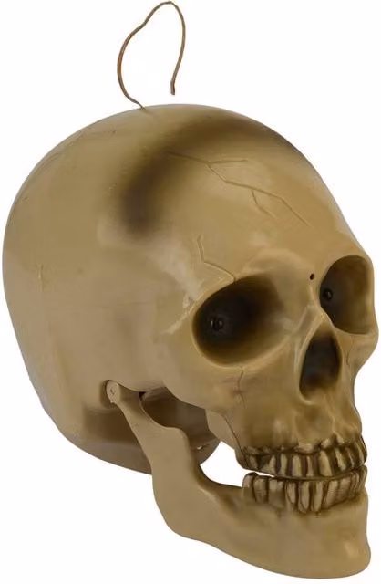 VFM e-Store Halloween Animated Talking Light Up Skull Party Accessory in White