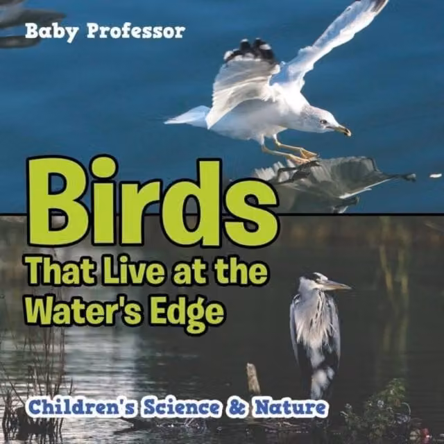 Baby Professor Birds That Live at the Water's Edge Children's Science Nature Book, Multicolour