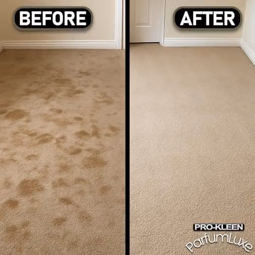 Pro-Kleen Parfum Luxe Carpet Shampoo with Woody, Oud and Warm Fragrance, 2 x 1 l – 4