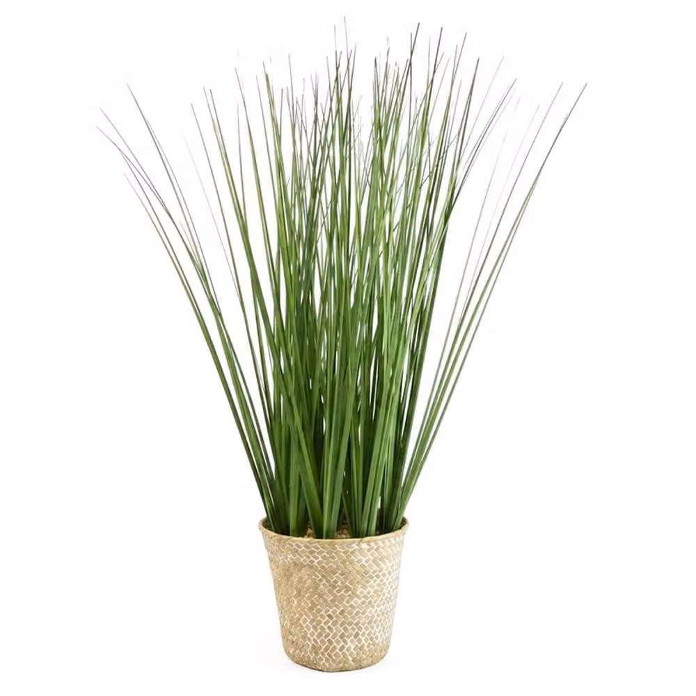 Madison & Mayfair Modern Artificial Grass Plant in a Green Round Rattan Tabletop Basket – 2