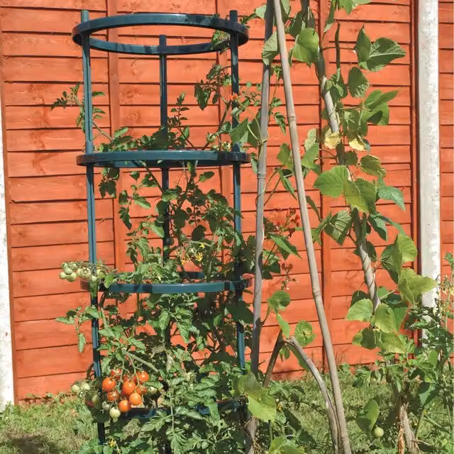 Thompson & Morgan Green Plastic Tomato Growing Support Plant Frame Tower for Vegetable Gardens