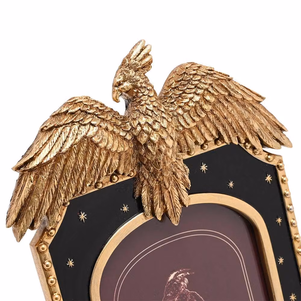 Warner Bros Harry Potter Alumni Fawkes Single Rectangular Metal Tabletop Photo Frame in Gold – 4