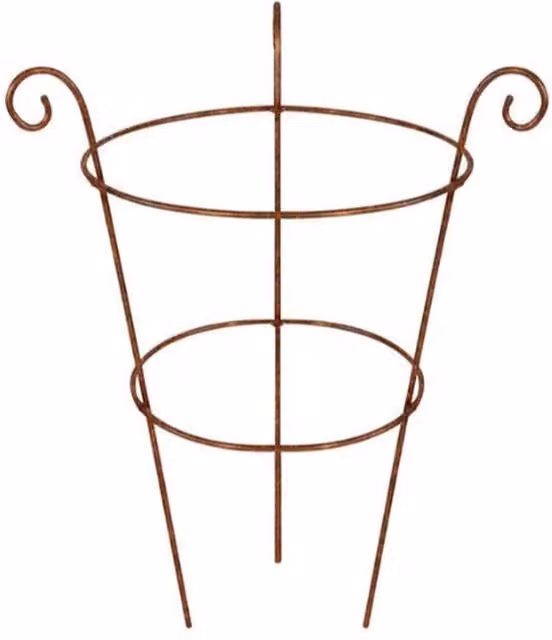 Garden Pride Scrolled Peony Cage Plant Support in Raw Steel