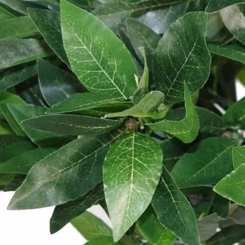 Leaf Design UK Pair of Green Artificial Bay Topiary Ball Trees, Height: 120 cm – 4