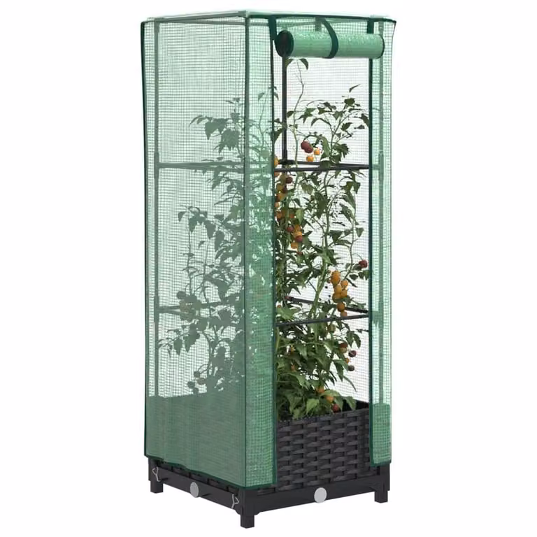Berkfield Home Raised Bed with Greenhouse Cover in Black Rattan Look, W/D/H: 40 x 40 x 123 cm
