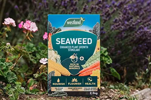 Westland Seaweed Enhanced Plant Tonic for Lawns, Vegetable Gardens and Ornamental Gardens, 2.5 kg – 4