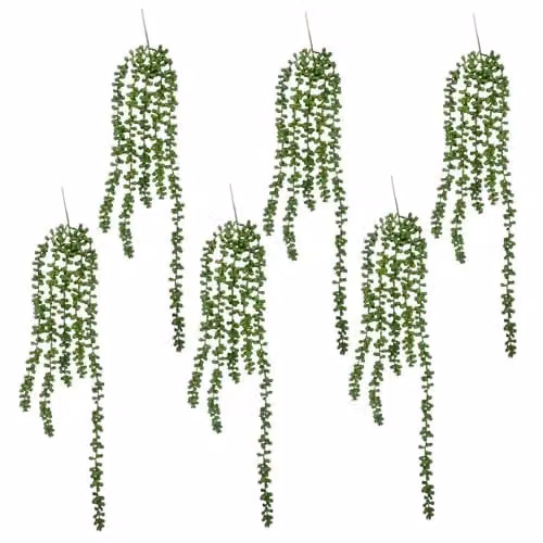 Leaf UK Pack of 6 Green Artificial String of Hanging Pearls Plants, Length: 70 cm