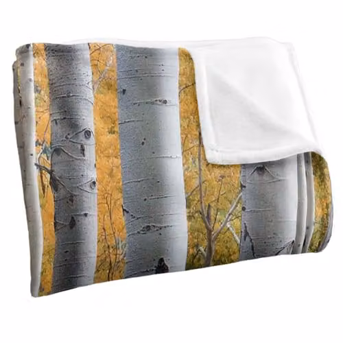 JQ Licensing James Piazza Birch Trees Silky Touch Super Soft Fleece Throw Blanket, White, W: 152 cm, D: 127 cm – 2