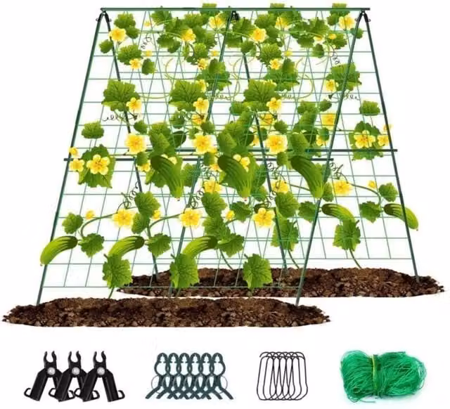 VOGREX Green A-Frame Garden Trellis Climbing Plant Support Stand, Height: 120 cm