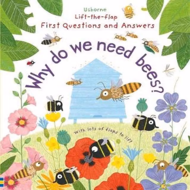 Katie Daynes First Questions & Answers: Why do we need bees? Multicolour Board Book