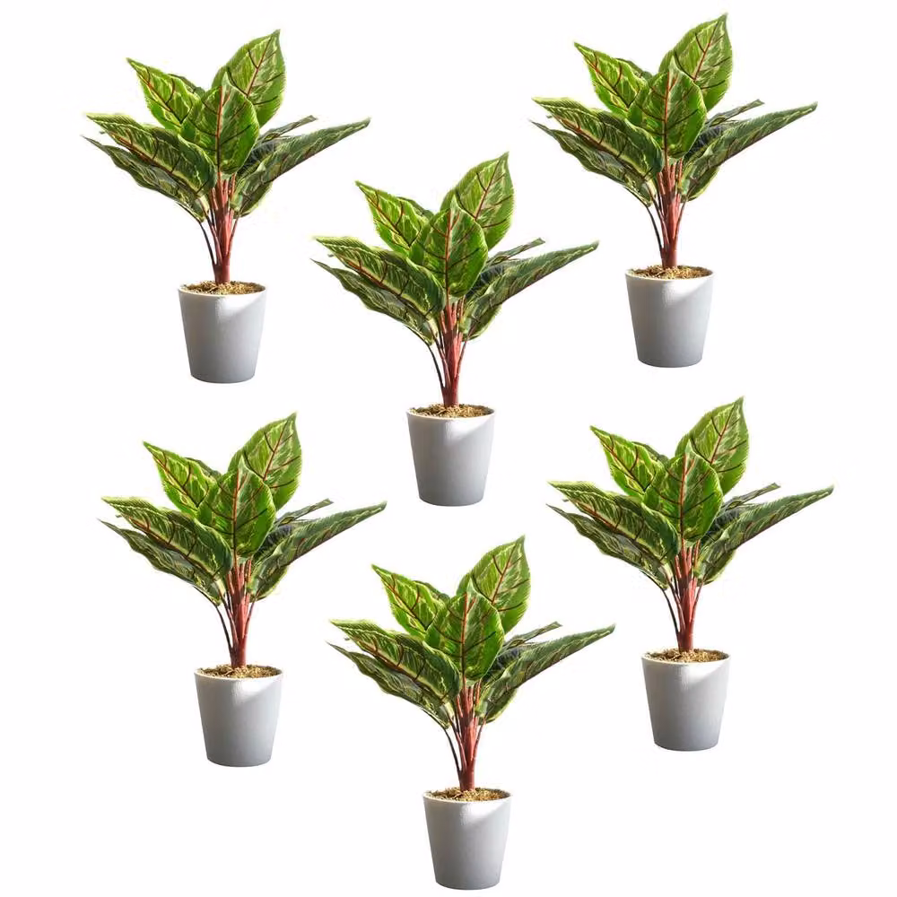 Botanik Pack of 6 Realistic Artificial Potted Green Foliage Plants, H 38 cm x W 30 cm x D 30 cm – 2