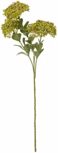 Lemon Pavilion Green Sedum Succulent Spray, Height: 58 cm – 1