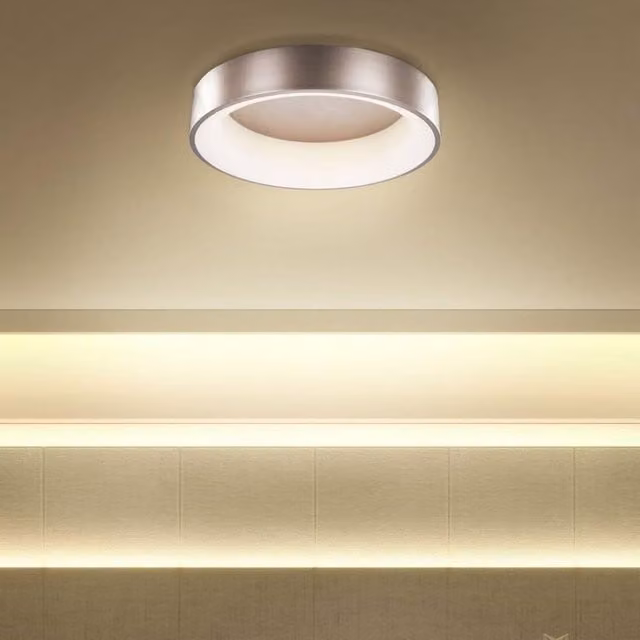 Wyld and Coco Modern Round LED Ceiling Lamp in Brown