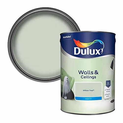 Dulux Matt Emulsion Paint for Walls and Ceilings in Willow Tree Green, 5 l