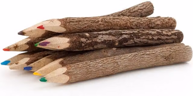 KDMK Set of 10 Multicolour Wood Twig Graphite Pencils for Children