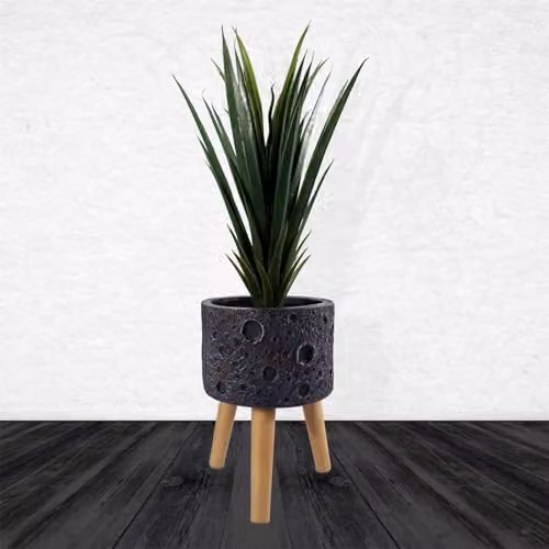 Leaf Extra Large Square Cachepot Planter in Black – 3