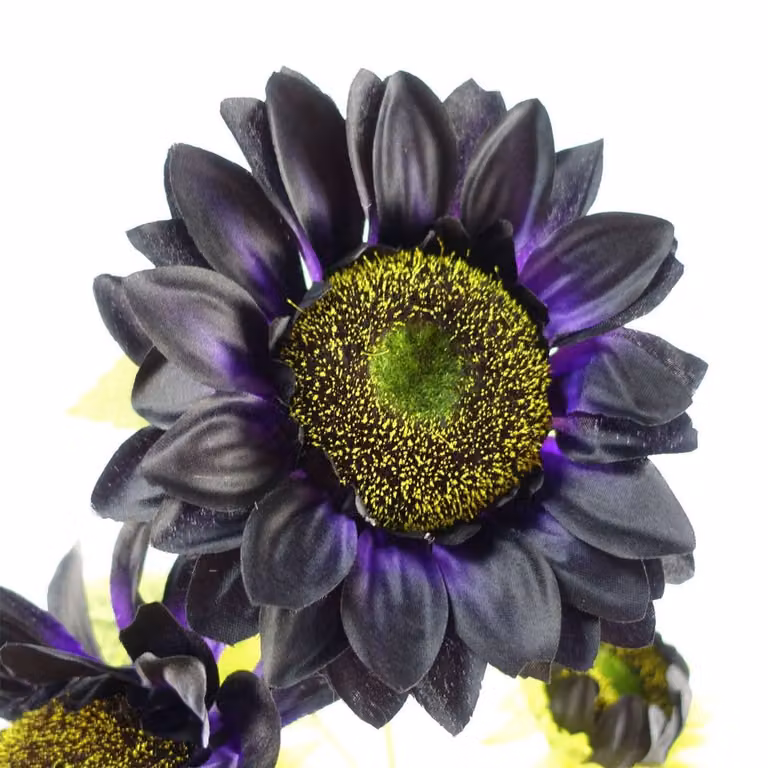 Leaf Pack of 6 Purple Artificial Sunflowers with 18 Heads, Height: 88 cm