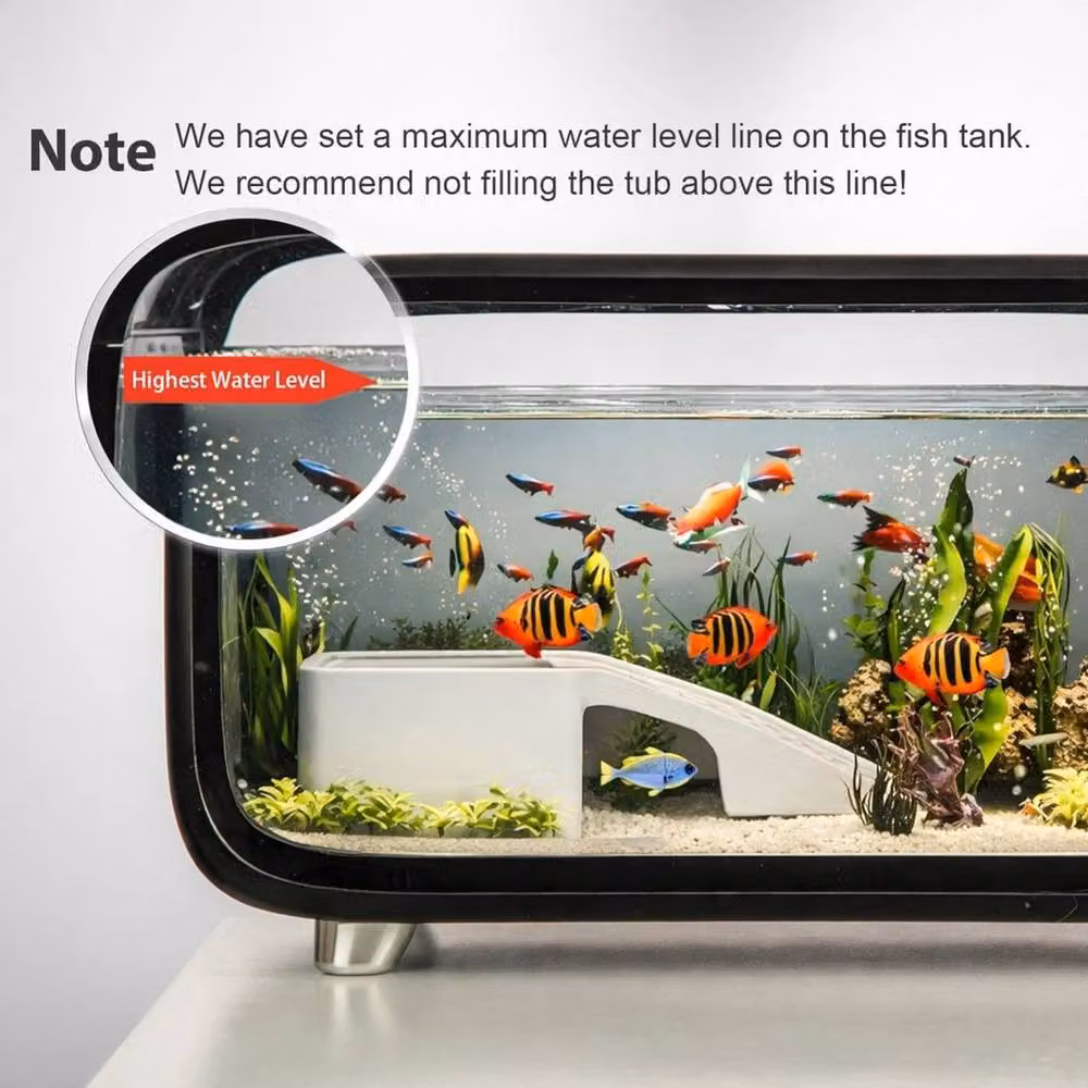 PAWNORA Compact Betta Fish Tank Kit Transparent Desktop Aquarium, Width: 40 cm, Depth: 40 cm – 4