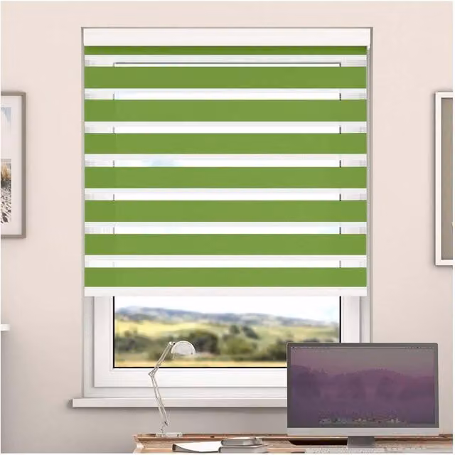 NewEdgeBlinds Day and Night Zebra Roller Blind with Cassette, Green, Width: 60 cm