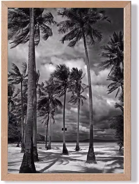 ARTZE Stormy Palm Trees Black and White Framed Photograph Print with Oak Wood Frame, A4 – 1