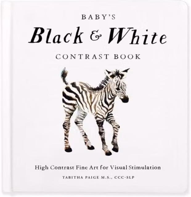 Tabitha Paige Baby's Black and White Contrast Board Book