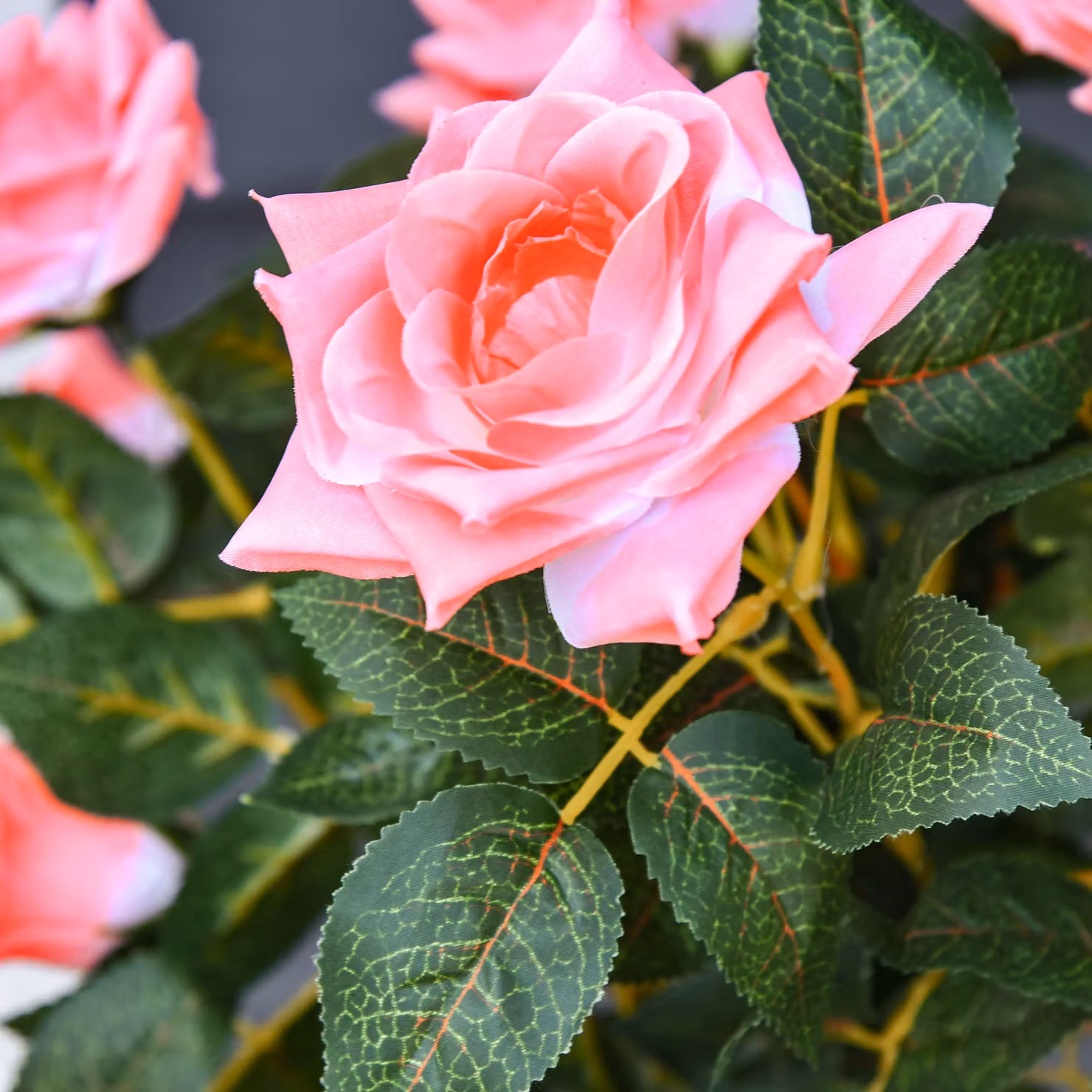 Outsunny Set of 2 Pink Artificial Rose Floral Plants in Pots, Height: 90 cm – 5