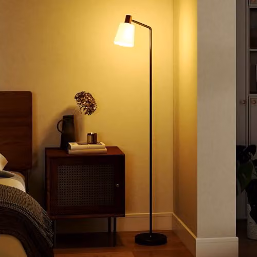 HOMCOM Modern LED Floor Lamp with Adjustable Head and CCT, Black – 1