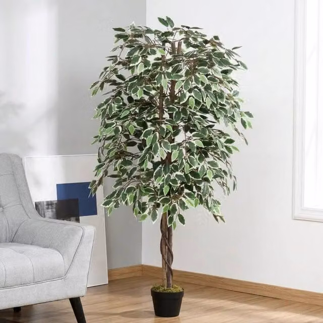 STILVORA Artificial Ficus Tree in Green, Height: 160 cm