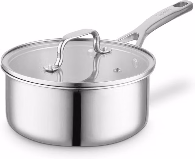 Surlatable Stainless Steel Saucepan with Glass Lid, Silver, 20 cm