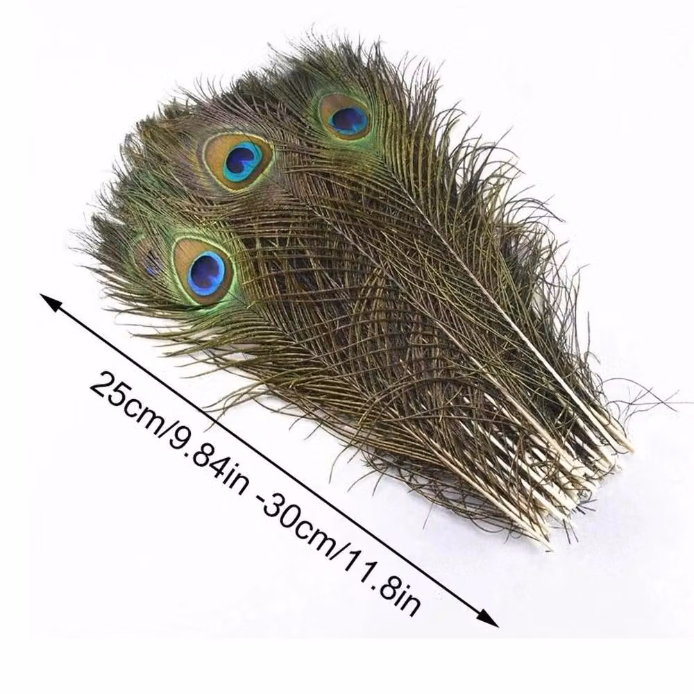 SPETLEK Natural Multicolour Peacock Tail Feathers for DIY Craft and Art Projects – 2