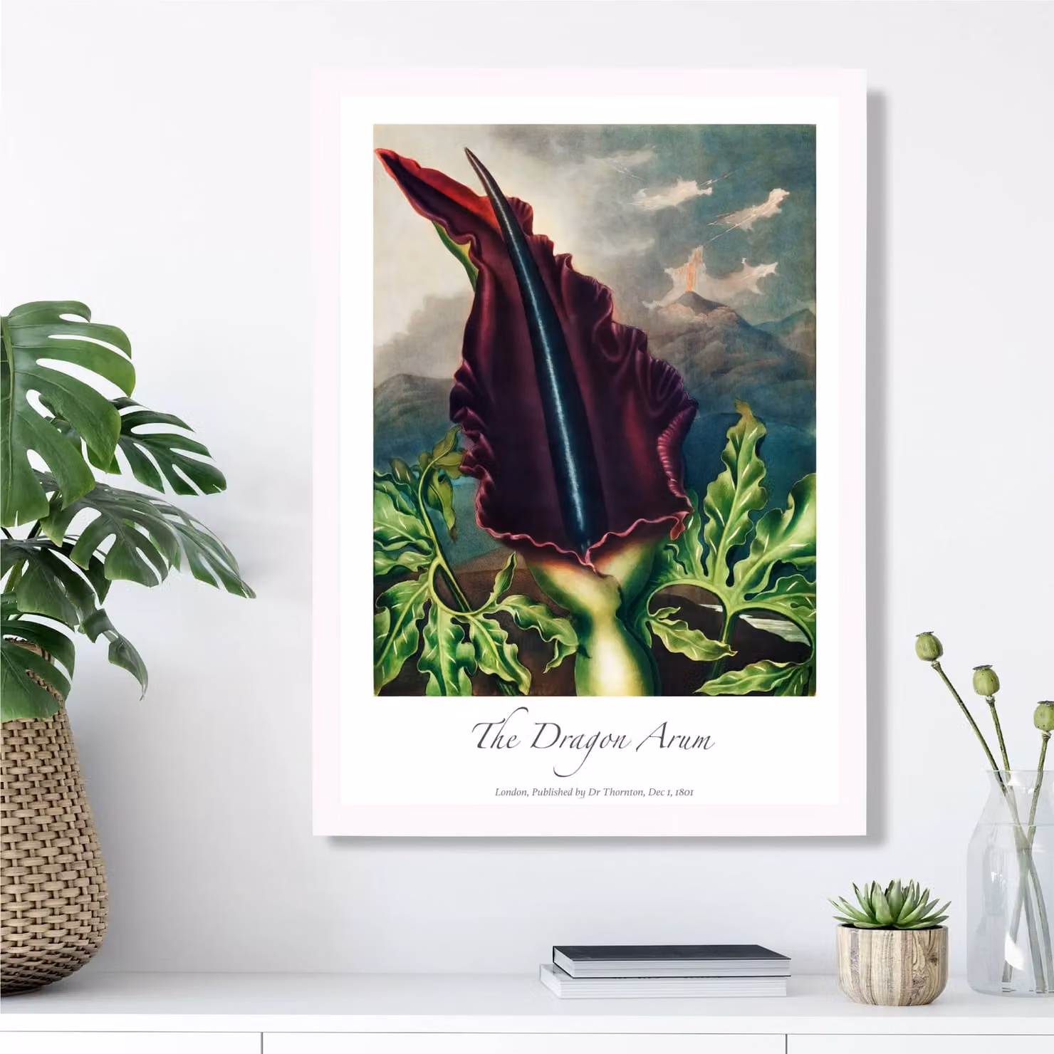 ARTZE Dragon Arum Flower Framed Botanical Print, Purple and Green Floral Illustration, A2, White Frame – 2