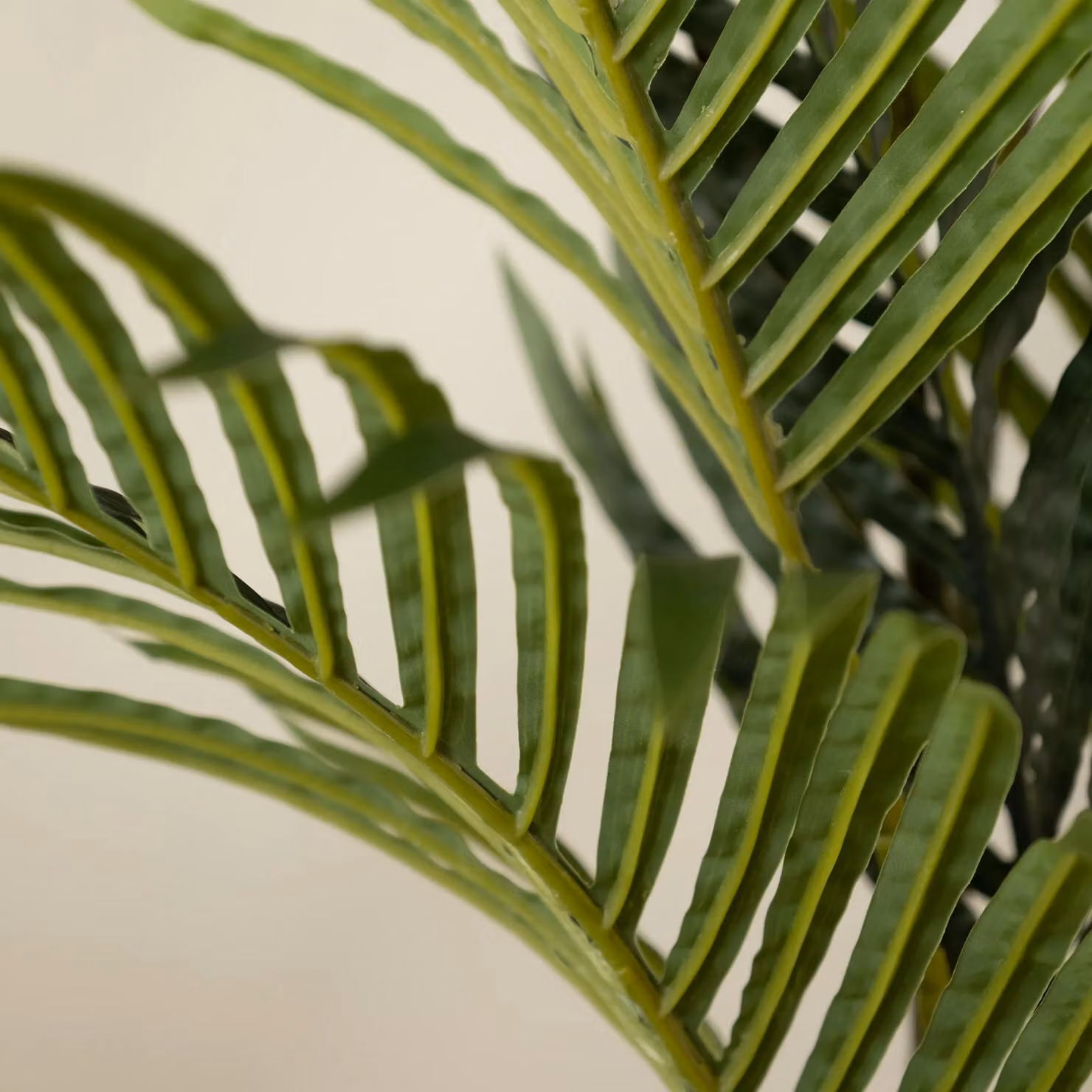 Scottish Everlastings Ltd Real Touch Pearl Palm Tree, Green, Height: 125 cm – 2