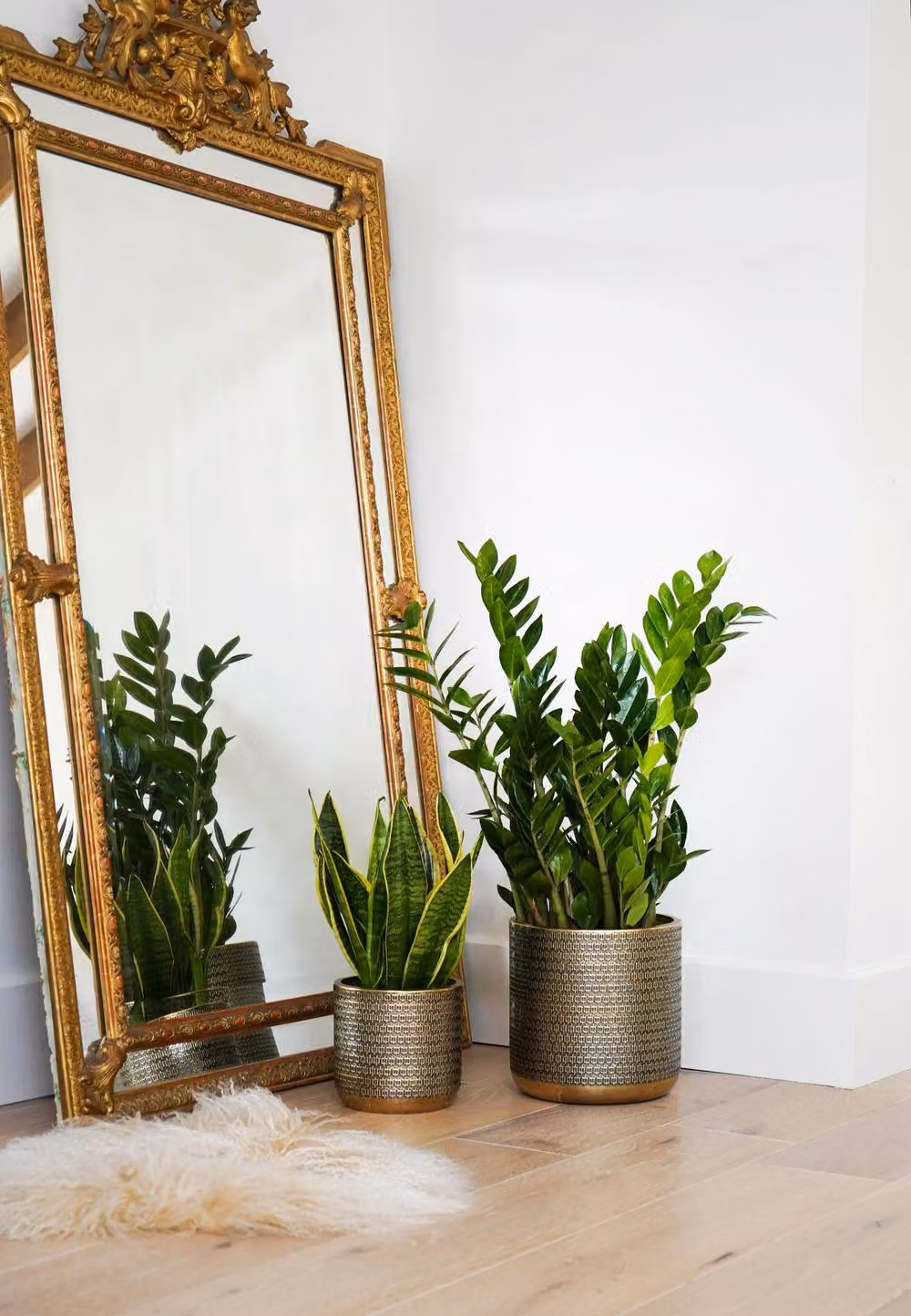 Ivyline Solis Embossed Metal Plant Pot in Gold, H 25 cm x D 25 cm – 2
