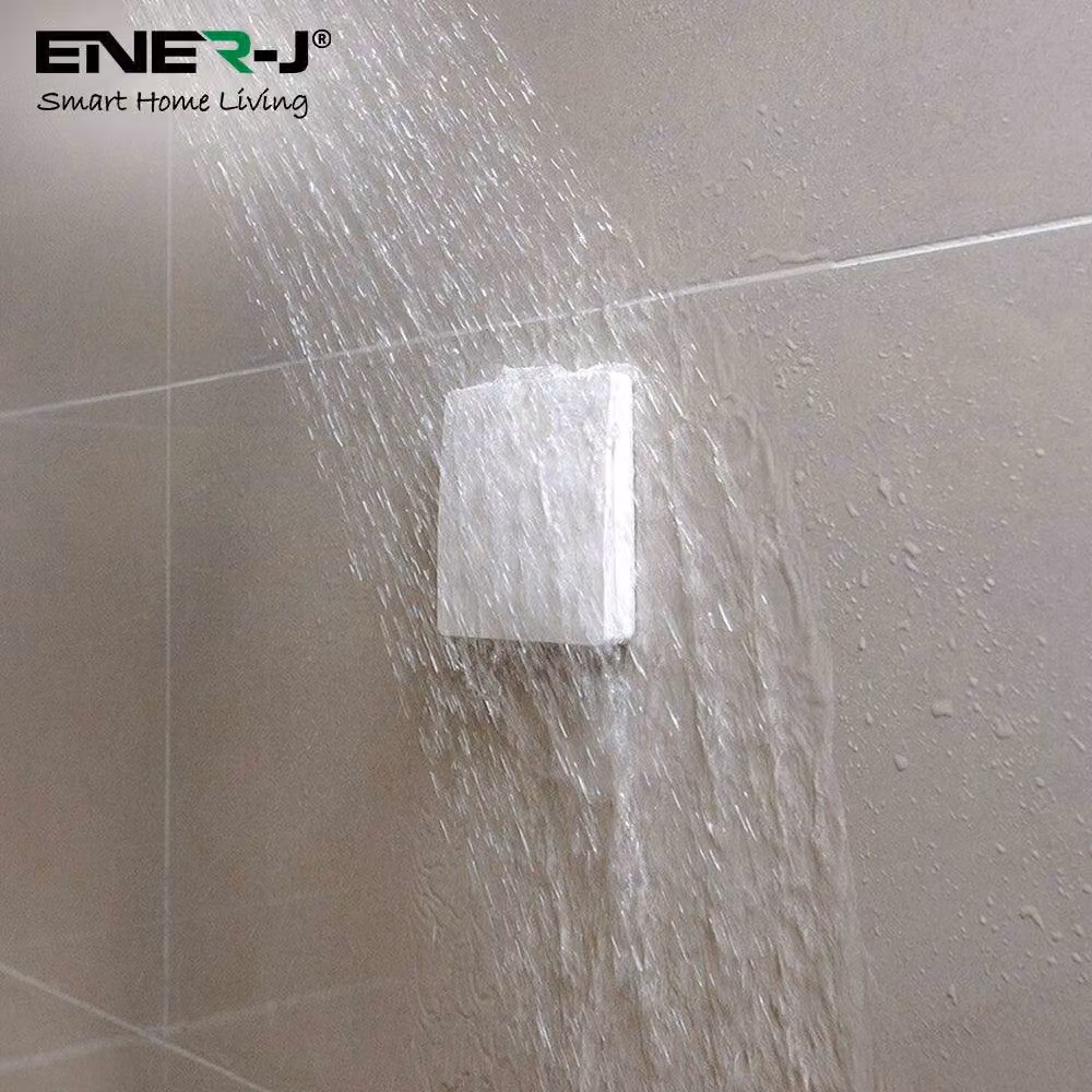 ENER-J 2 Gang Wireless Kinetic Switch and 5A RF Receiver Set in White – 2