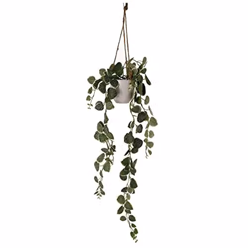 Leaf String of Hearts Artificial Hanging Green Plant with White Pot, Height: 90 cm