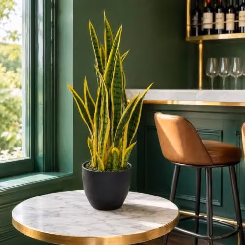 Leaf UK Artificial Sansevieria Tropical Snake Plant in Green and Gold, Height: 70 cm – 1