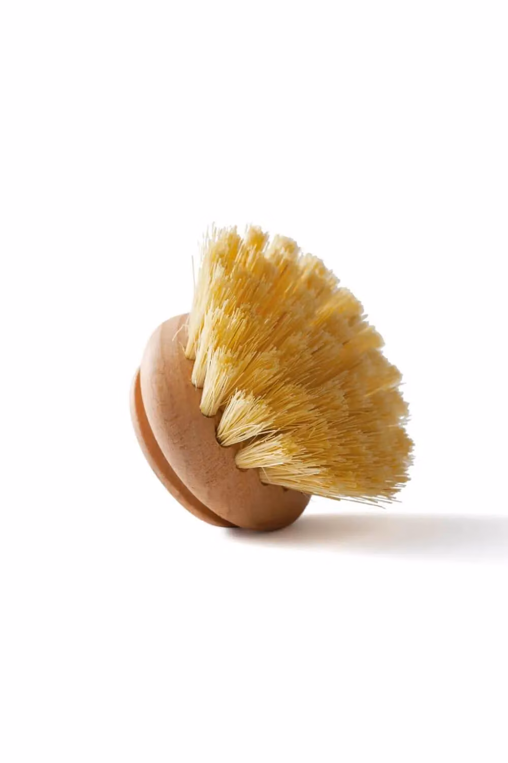Wild & Stone Wooden Dish Brush Replacement Head in Brown – 2