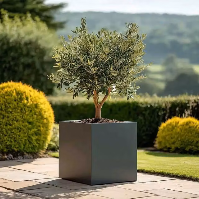 Access Garden Products Matte Grey Galvanised Steel Square Planter Tub, Width: 60 cm – 1