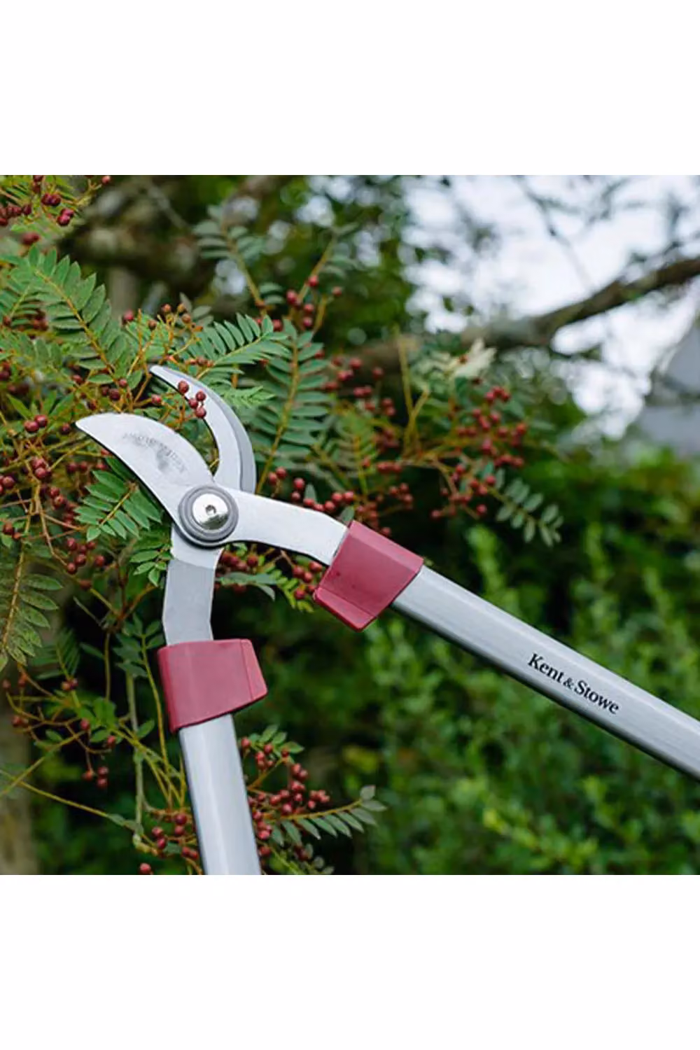 Kent & Stowe General Purpose Bypass Loppers in Grey and Red – 2