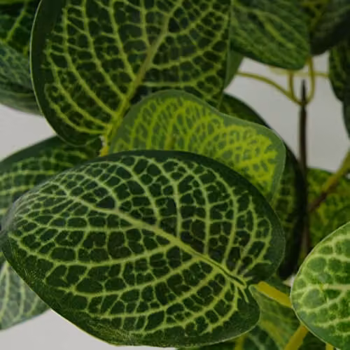 Botanik Potted Artificial Variegated Pothos Plant in Green and Black, Height: 40 cm – 3