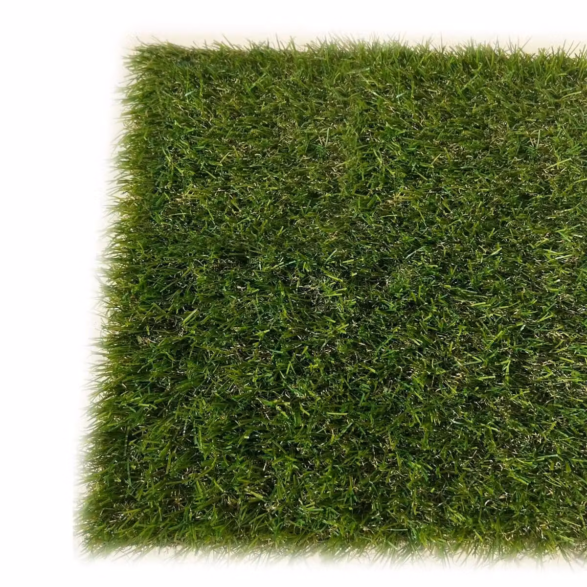 Artificial Grass GB Hampton 28mm Artificial Grass in Green and Brown, W/D: 400 x 400 cm – 3