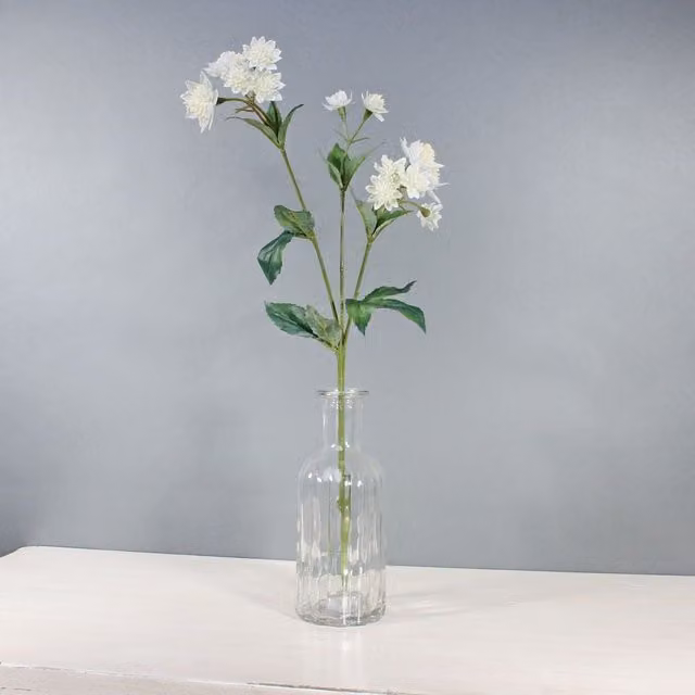 Kingsbury Gifts White Artificial Astrantia Stem, Height: 50 cm