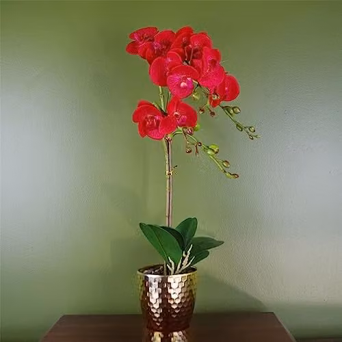 Leaf 50cm Red Leopard Phalaenopsis Orchid Artificial in a Gold Pot