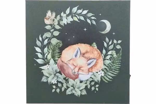 KDMD Sleeping Fox Light Up Canvas Plaque in Green – 2