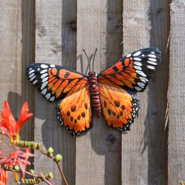 Betley Butterfly Metal Wall Decoration in Orange
