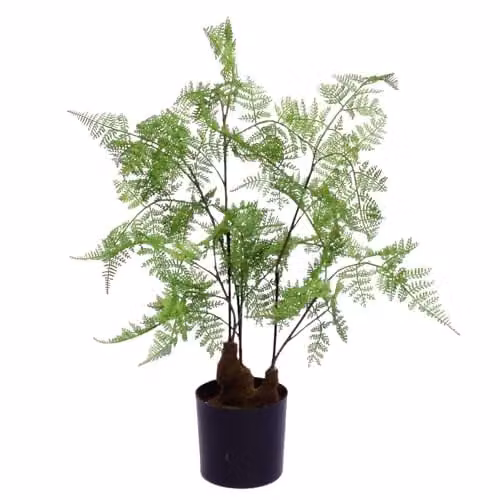Leaf Design Realistic Artificial Fern Plant, Green, Potted, H 60 cm x W 40 cm x D 40 cm – 1